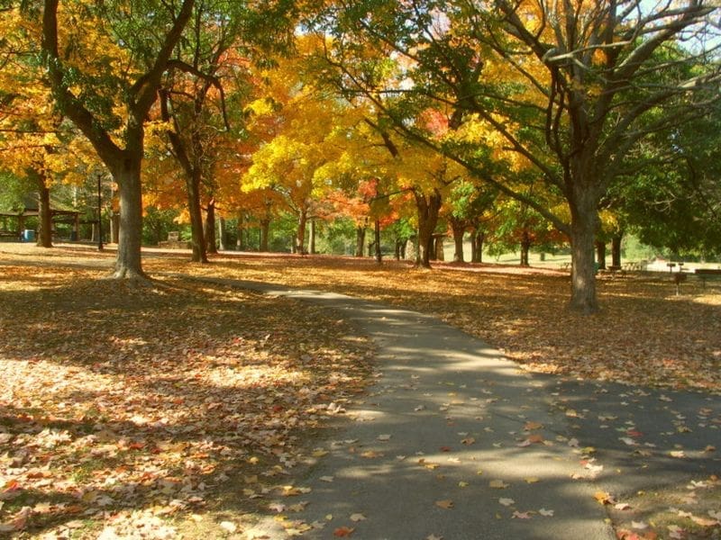 The Springfield area offers many trails, hiking, and bicycling opportunities